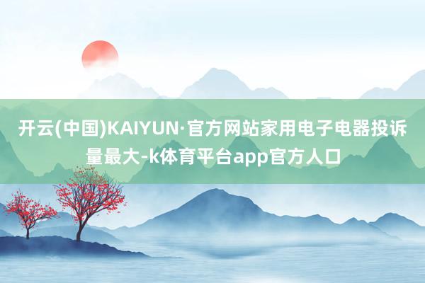 开云(中国)KAIYUN·官方网站家用电子电器投诉量最大-k体育平台app官方人口