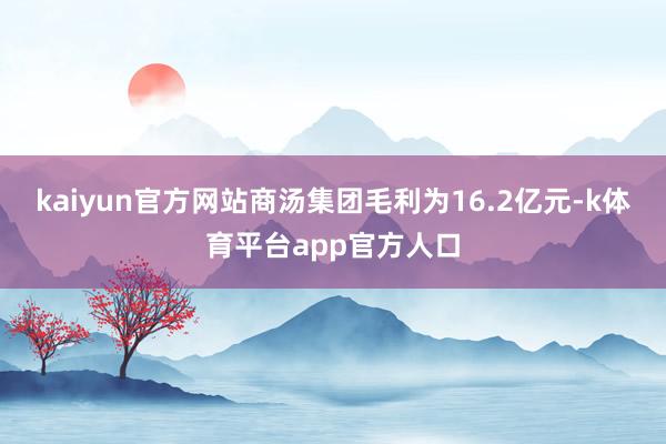 kaiyun官方网站商汤集团毛利为16.2亿元-k体育平台app官方人口