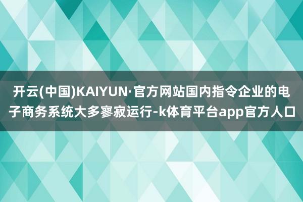 开云(中国)KAIYUN·官方网站国内指令企业的电子商务系统大多寥寂运行-k体育平台app官方人口