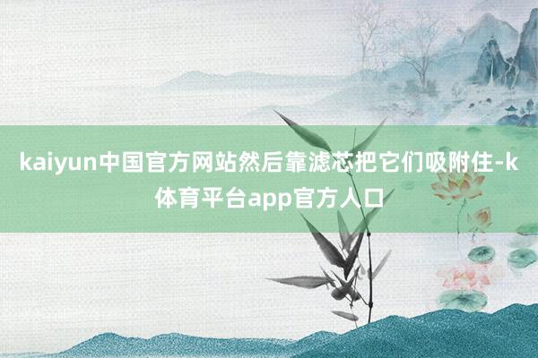kaiyun中国官方网站然后靠滤芯把它们吸附住-k体育平台app官方人口