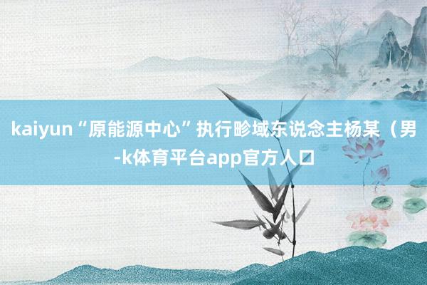 kaiyun“原能源中心”执行畛域东说念主杨某（男-k体育平台app官方人口