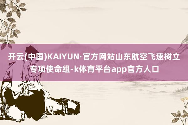 开云(中国)KAIYUN·官方网站山东航空飞速树立专项使命组-k体育平台app官方人口
