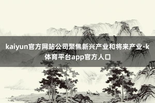 kaiyun官方网站公司聚焦新兴产业和将来产业-k体育平台app官方人口
