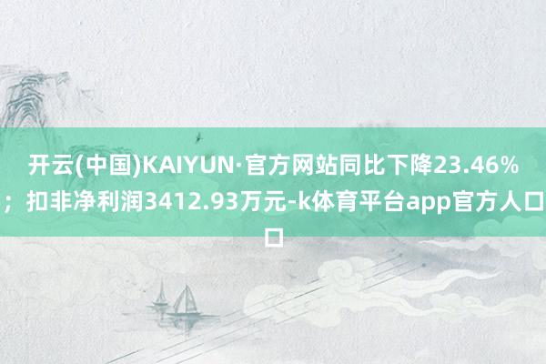 开云(中国)KAIYUN·官方网站同比下降23.46%；扣非净利润3412.93万元-k体育平台app官方人口