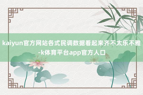 kaiyun官方网站各式民调数据看起来齐不太乐不雅-k体育平台app官方人口