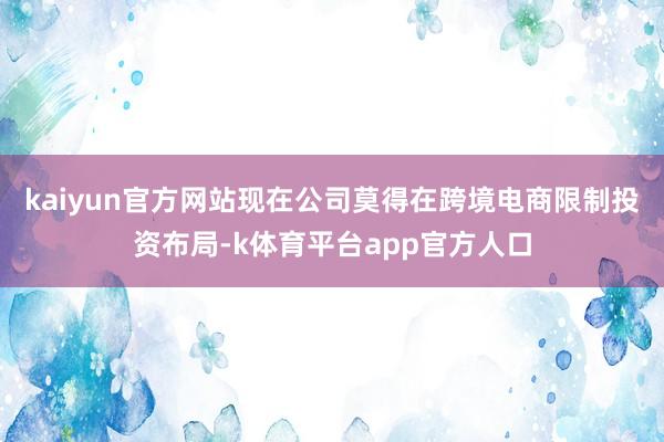 kaiyun官方网站现在公司莫得在跨境电商限制投资布局-k体育平台app官方人口