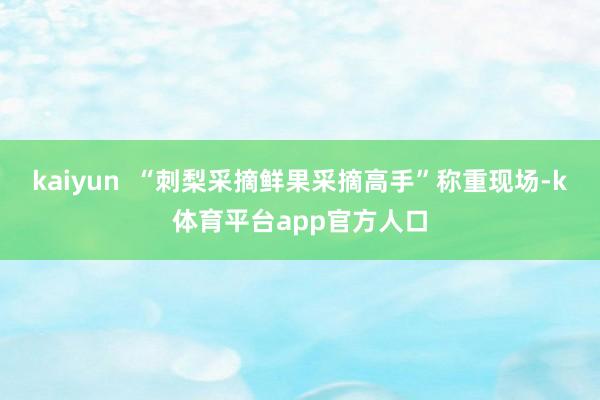 kaiyun  “刺梨采摘鲜果采摘高手”称重现场-k体育平台app官方人口