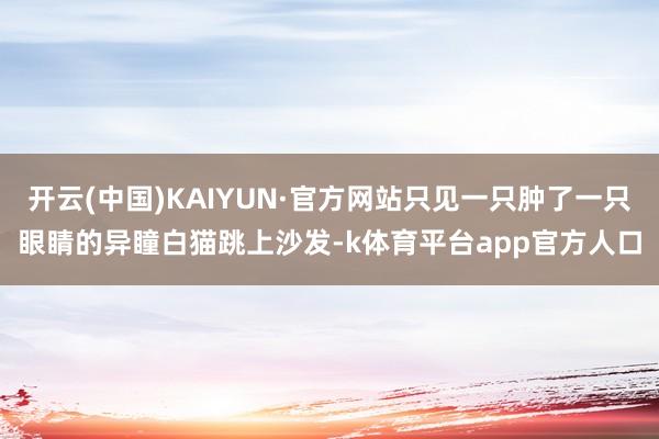 开云(中国)KAIYUN·官方网站只见一只肿了一只眼睛的异瞳白猫跳上沙发-k体育平台app官方人口