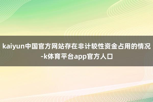 kaiyun中国官方网站存在非计较性资金占用的情况-k体育平台app官方人口