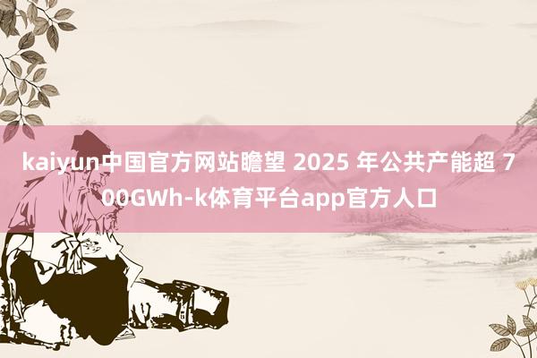 kaiyun中国官方网站瞻望 2025 年公共产能超 700GWh-k体育平台app官方人口
