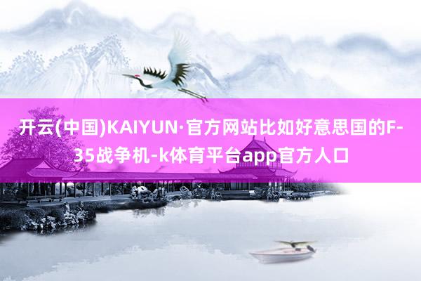 开云(中国)KAIYUN·官方网站比如好意思国的F-35战争机-k体育平台app官方人口