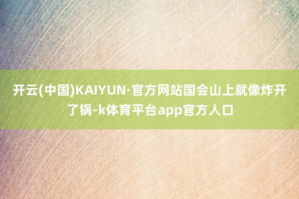 开云(中国)KAIYUN·官方网站国会山上就像炸开了锅-k体育平台app官方人口