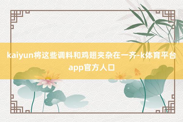 kaiyun将这些调料和鸡翅夹杂在一齐-k体育平台app官方人口