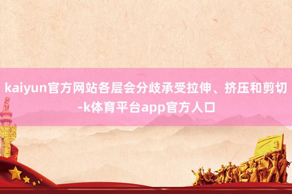 kaiyun官方网站各层会分歧承受拉伸、挤压和剪切-k体育平台app官方人口
