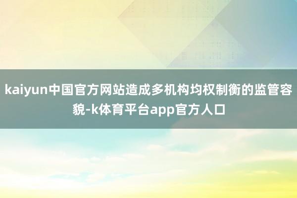 kaiyun中国官方网站造成多机构均权制衡的监管容貌-k体育平台app官方人口